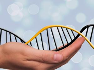 La técnica CRISPR es capaz de crear cientos de mutaciones fortuitas. / geralt (PIXABAY)