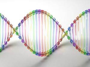 Ilustración de cadena de ADN. / Caroline Davis2010 (FLICKR)