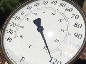 Termómetro marcando 50 grados centígrados. / johninuptown (PIXABAY)