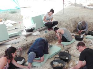 Excavaciones que acaban de concluir en Orce. / UGR