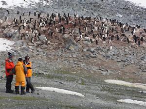 Describen el impacto humano en la Península Antártica a partir de la presencia de contaminantes emergentes